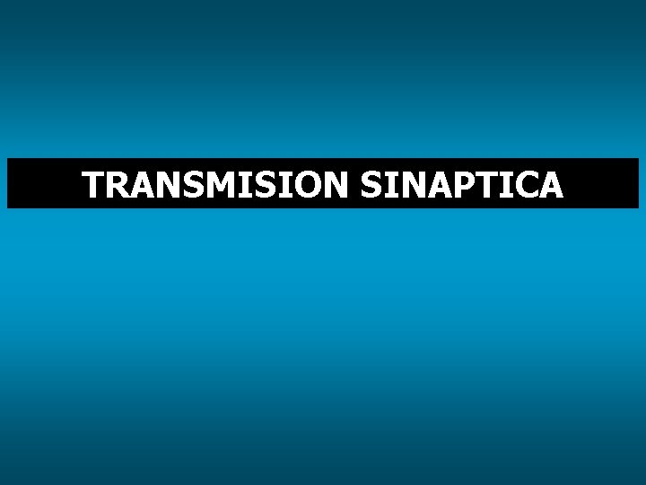 TRANSMISION SINAPTICA 