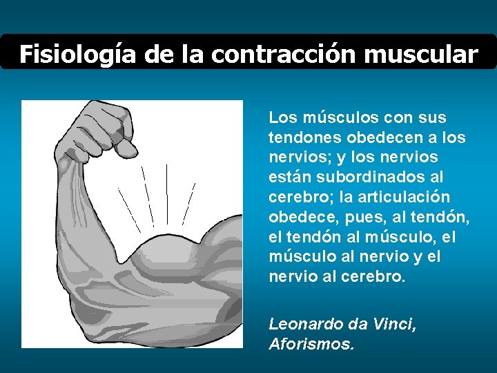 Fisiología de la contracción muscular Los músculos con sus tendones obedecen a los nervios;