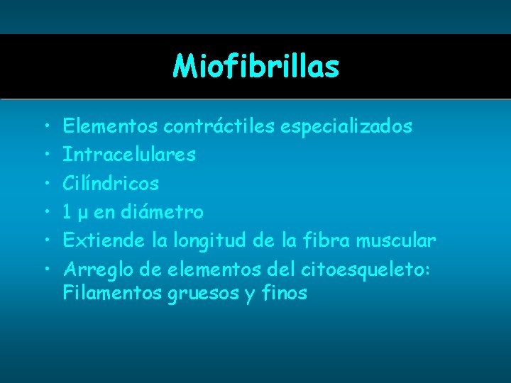 Miofibrillas • • • Elementos contráctiles especializados Intracelulares Cilíndricos 1 μ en diámetro Extiende