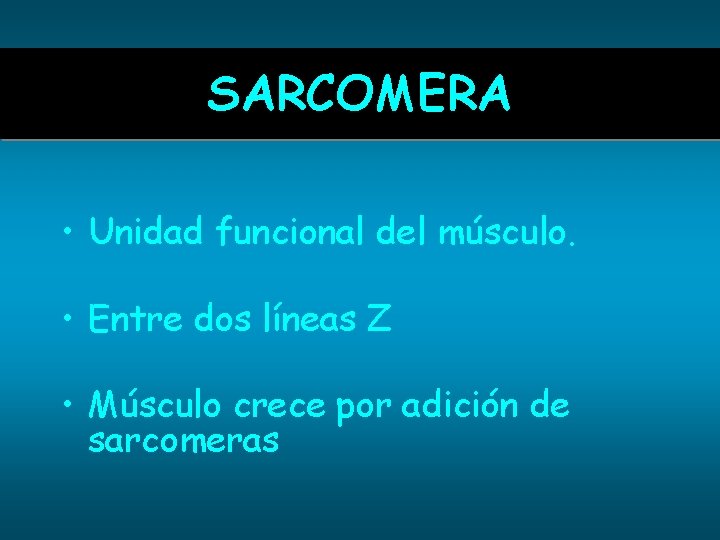 SARCOMERA • Unidad funcional del músculo. • Entre dos líneas Z • Músculo crece