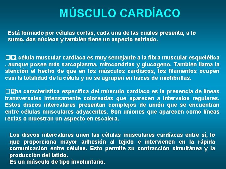 MÚSCULO CARDÍACO Está formado por células cortas, cada una de las cuales presenta, a