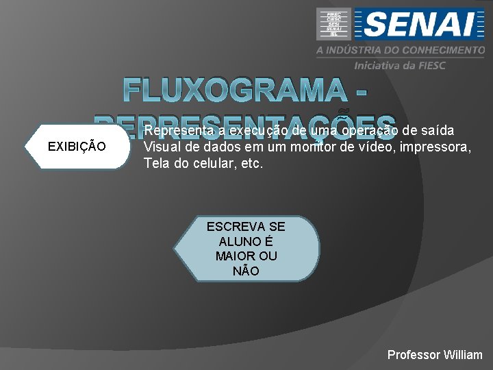 FLUXOGRAMA Representa a execução de uma operação de saída REPRESENTAÇÕES Visual de dados em