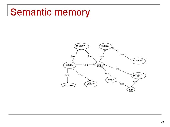 Semantic memory 25 