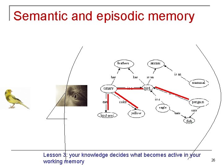 Semantic and episodic memory Lesson 3: your knowledge decides what becomes active in your