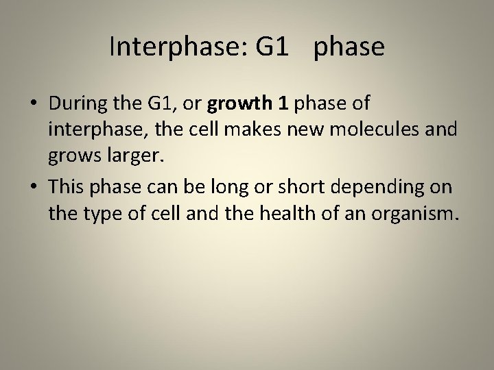 Interphase: G 1 phase • During the G 1, or growth 1 phase of