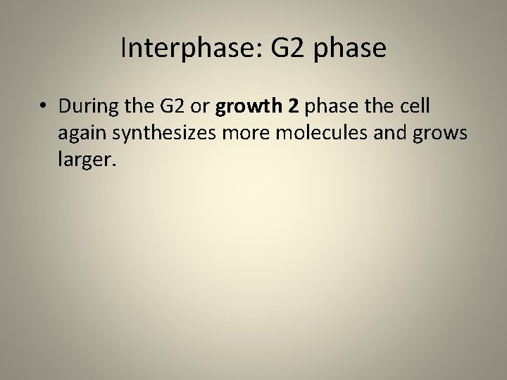 Interphase: G 2 phase • During the G 2 or growth 2 phase the