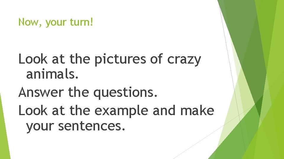 Now, your turn! Look at the pictures of crazy animals. Answer the questions. Look Now, your turn! Look at the pictures of crazy animals. Answer the questions. Look