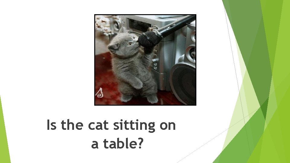 Is the cat sitting on a table? Is the cat sitting on a table?