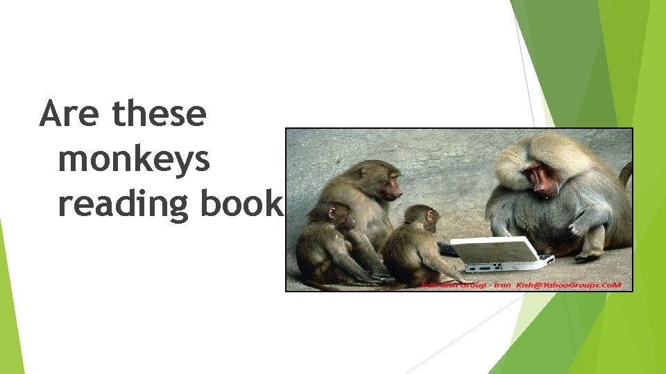 Are these monkeys reading books? Are these monkeys reading books?