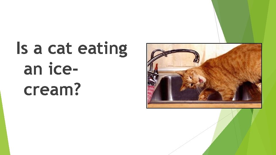 Is a cat eating an icecream? Is a cat eating an icecream?