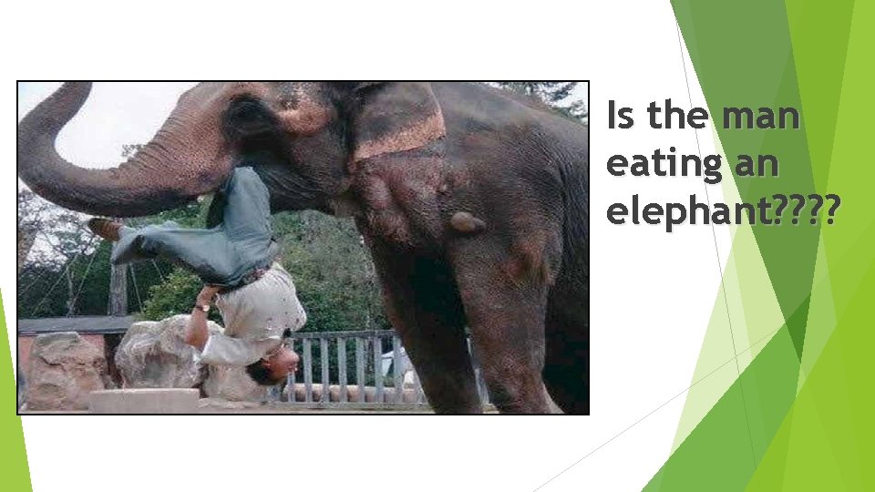 Is the man eating an elephant? ? Is the man eating an elephant? ?