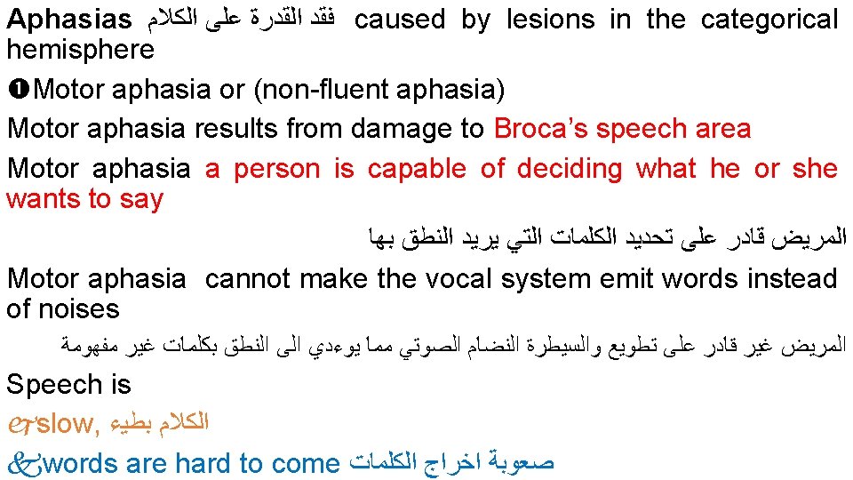 Aphasias ﻓﻘﺪ ﺍﻟﻘﺪﺭﺓ ﻋﻠﻰ ﺍﻟﻜﻼﻡ caused by lesions in the categorical hemisphere Motor aphasia