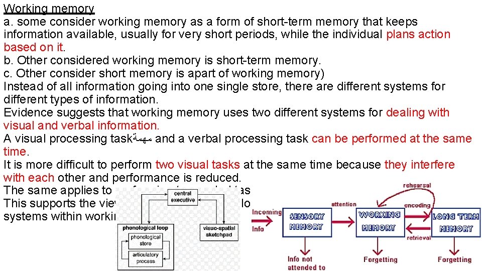 Working memory a. some consider working memory as a form of short term memory