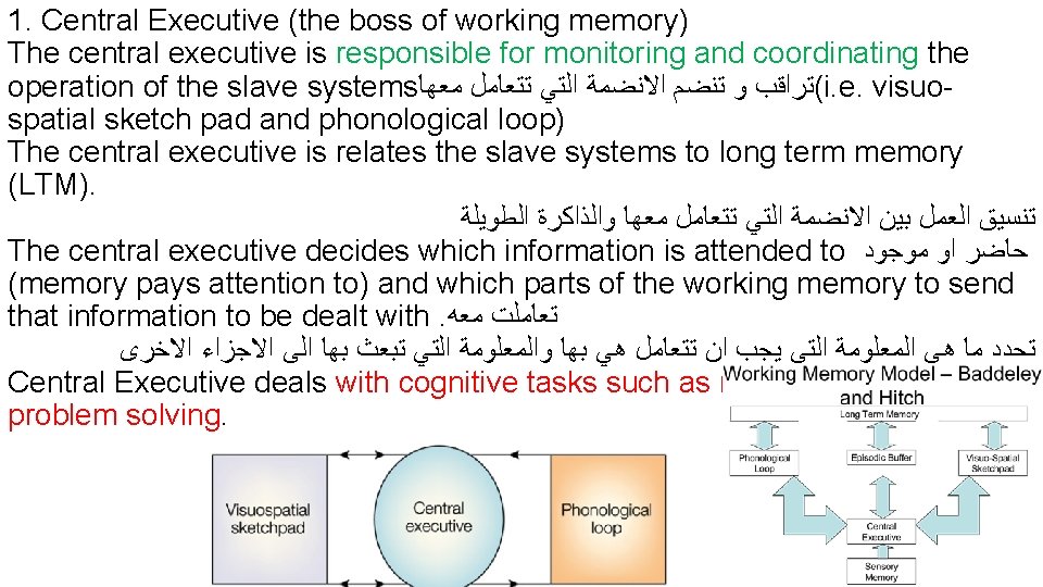 1. Central Executive (the boss of working memory) The central executive is responsible for