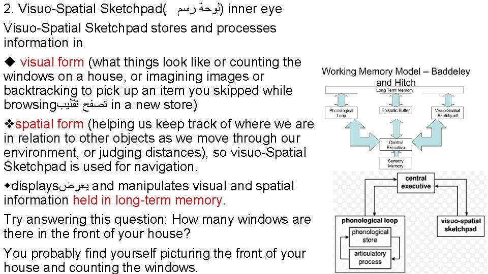 2. Visuo Spatial Sketchpad( )ﻟﻮﺣﺔ ﺭﺳﻢ inner eye Visuo Spatial Sketchpad stores and processes