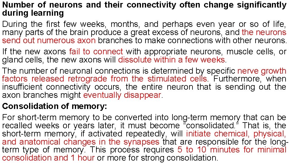 Number of neurons and their connectivity often change significantly during learning During the first