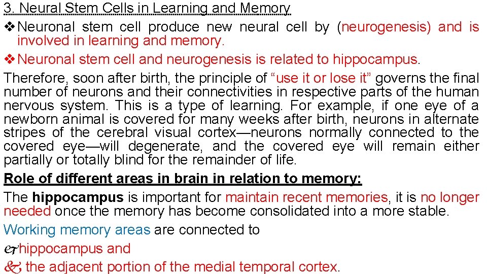 3. Neural Stem Cells in Learning and Memory Neuronal stem cell produce new neural