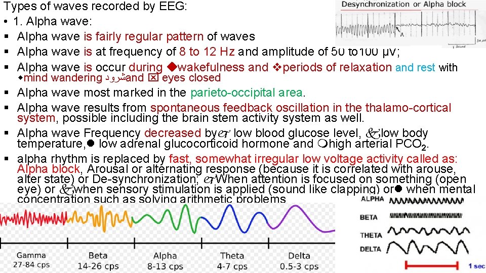 Types of waves recorded by EEG: • 1. Alpha wave: Alpha wave is fairly