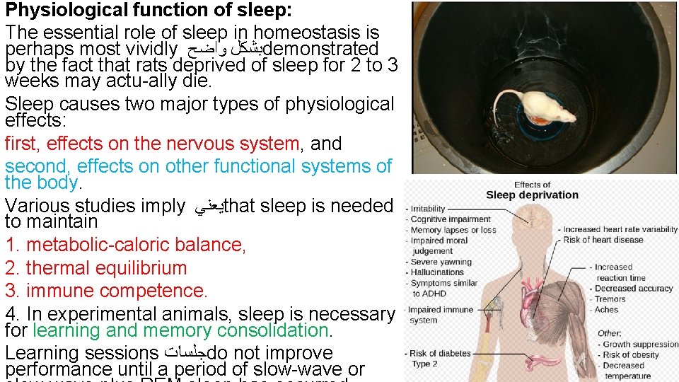 Physiological function of sleep: The essential role of sleep in homeostasis is perhaps most
