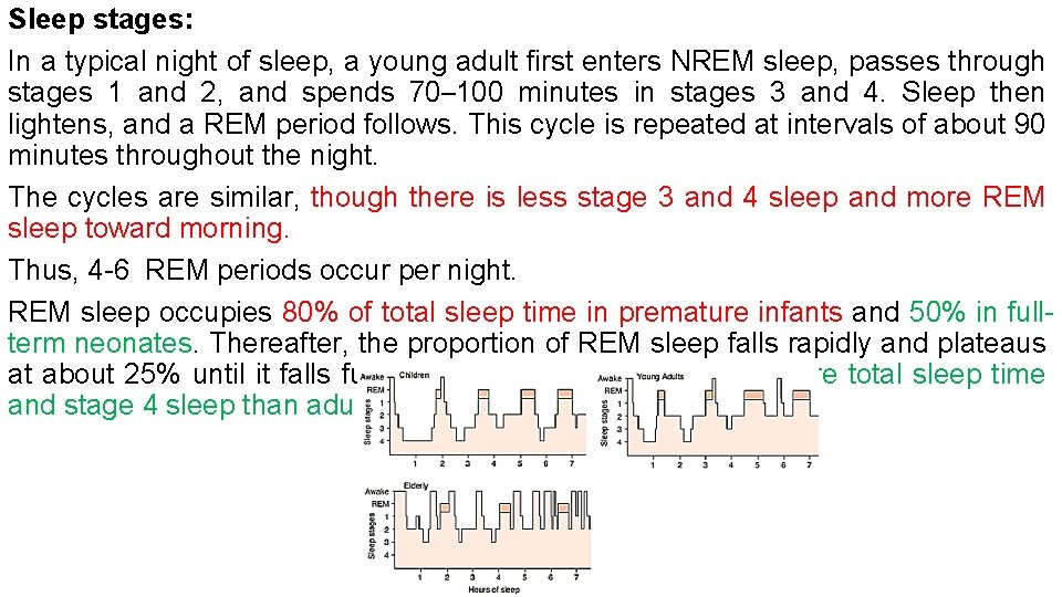 Sleep stages: In a typical night of sleep, a young adult first enters NREM