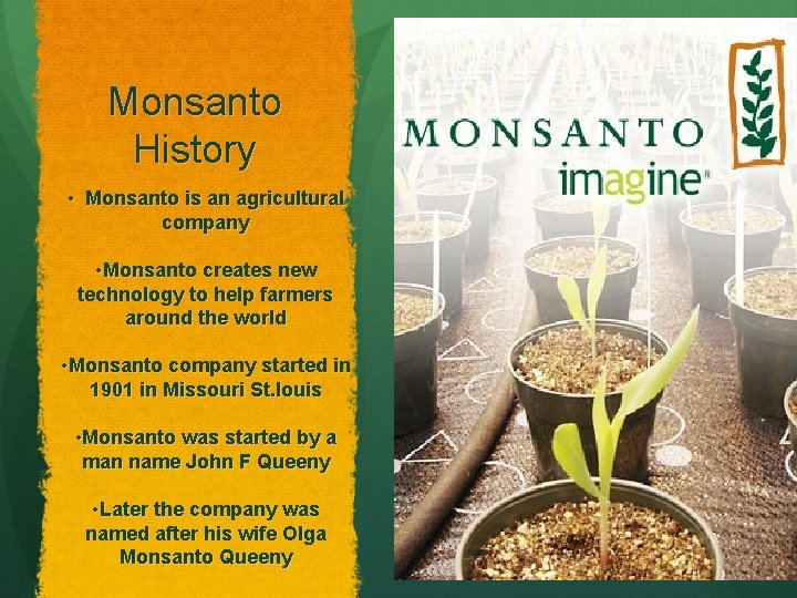 Monsanto History • Monsanto is an agricultural company • Monsanto creates new technology to