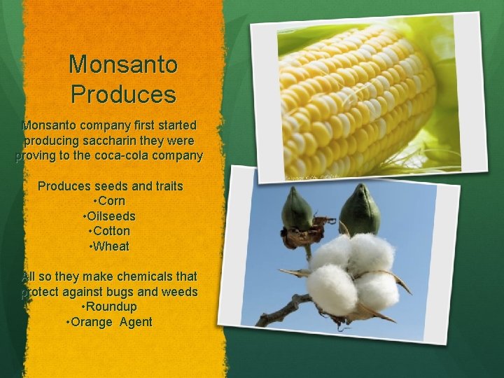Monsanto Produces Monsanto company first started producing saccharin they were proving to the coca-cola