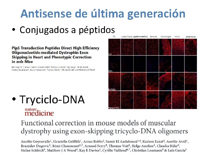 Antisense de última generación • Conjugados a péptidos • Tryciclo-DNA 