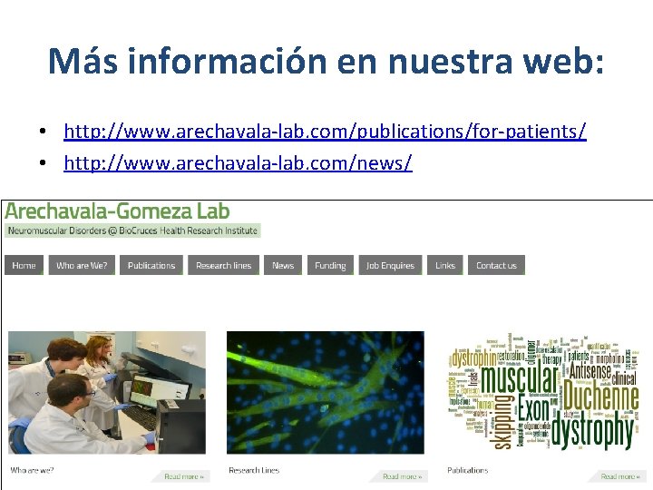 Más información en nuestra web: • http: //www. arechavala-lab. com/publications/for-patients/ • http: //www. arechavala-lab.