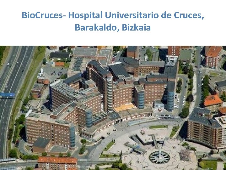 Bio. Cruces- Hospital Universitario de Cruces, Barakaldo, Bizkaia 