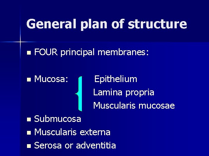 General plan of structure n FOUR principal membranes: n Mucosa: Epithelium Lamina propria Muscularis