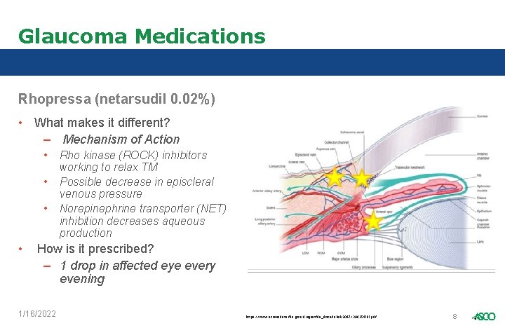 Glaucoma Medications Rhopressa (netarsudil 0. 02%) • What makes it different? – Mechanism of