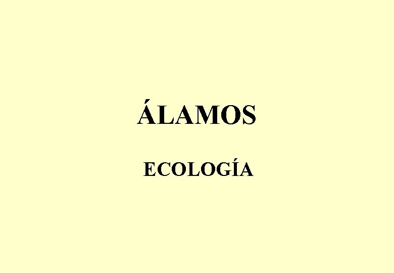 ÁLAMOS ECOLOGÍA 