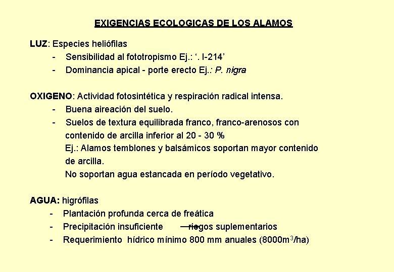 EXIGENCIAS ECOLOGICAS DE LOS ALAMOS LUZ: Especies heliófilas - Sensibilidad al fototropismo Ej. :