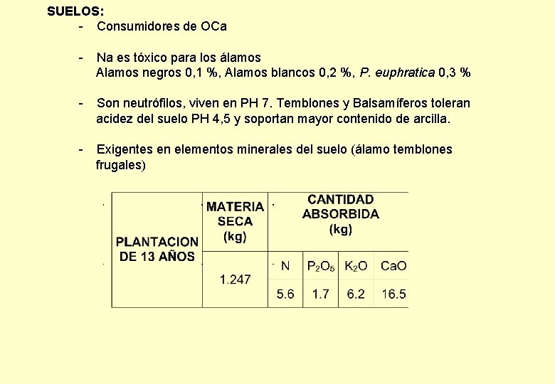 SUELOS: - Consumidores de OCa - Na es tóxico para los álamos Alamos negros