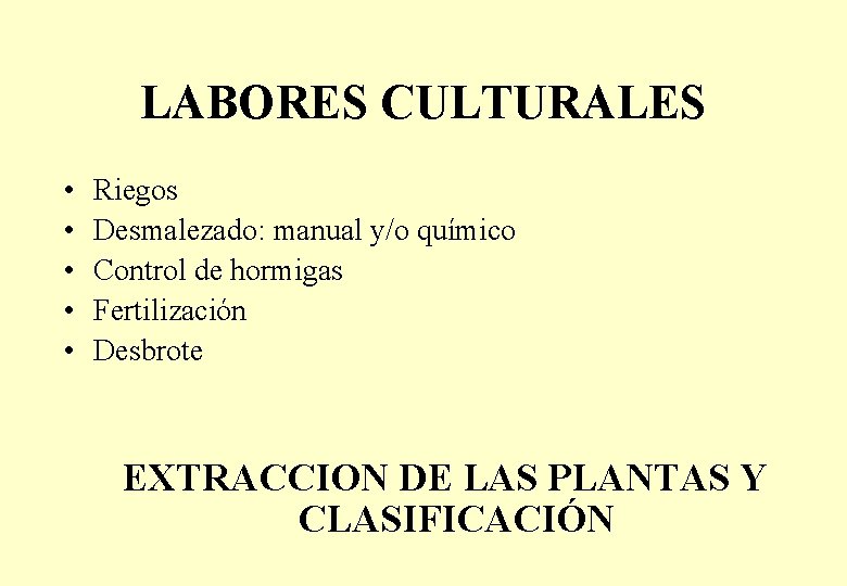 LABORES CULTURALES • • • Riegos Desmalezado: manual y/o químico Control de hormigas Fertilización