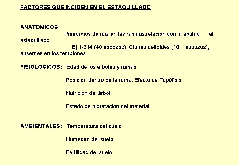 FACTORES QUE INCIDEN EN EL ESTAQUILLADO ANATOMICOS Primordios de raiz en las ramitas, relación