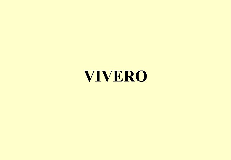 VIVERO 