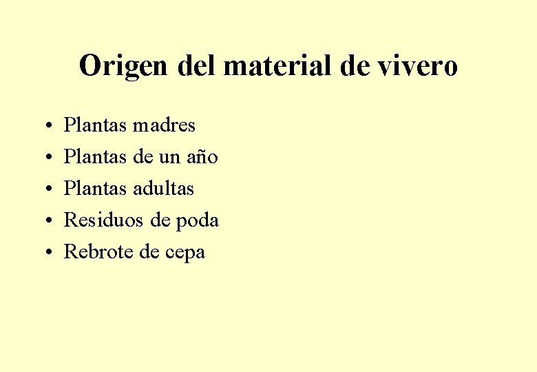 Origen del material de vivero • • • Plantas madres Plantas de un año