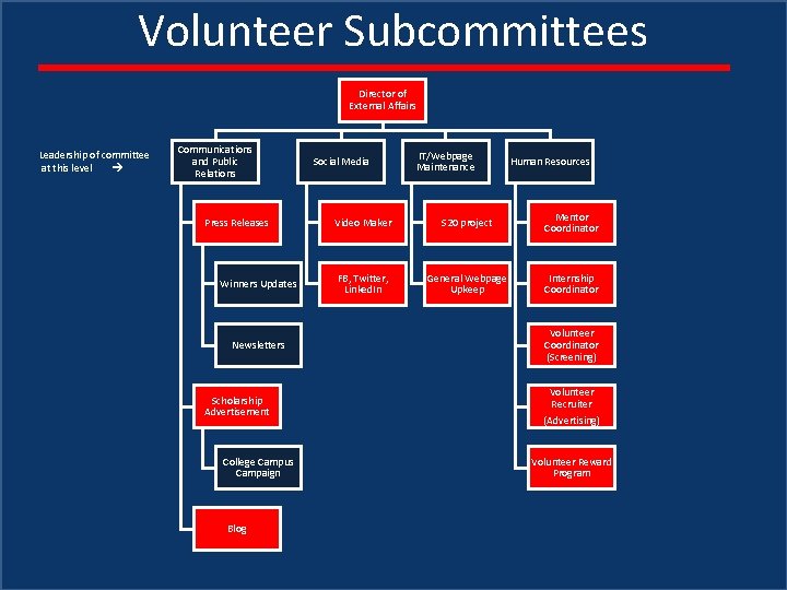 Volunteer Subcommittees Director of External Affairs Leadership of committee at this level Communications and