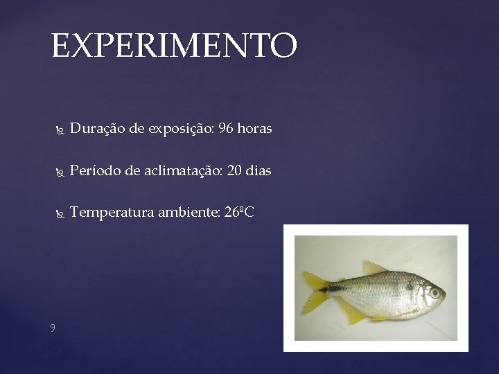 EXPERIMENTO 9 Duração de exposição: 96 horas Período de aclimatação: 20 dias Temperatura ambiente: