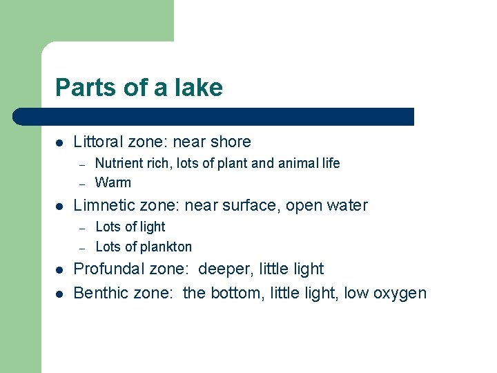 Parts of a lake l Littoral zone: near shore – – l Limnetic zone: