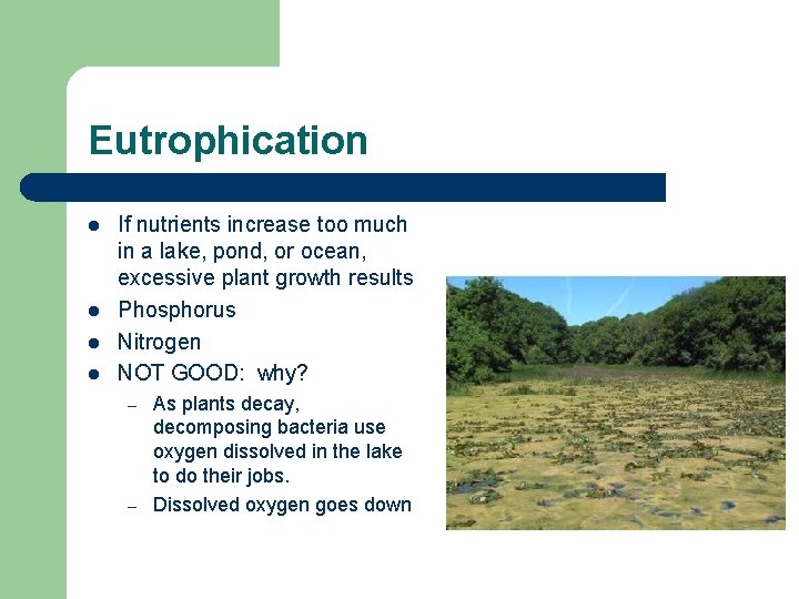Eutrophication l l If nutrients increase too much in a lake, pond, or ocean,