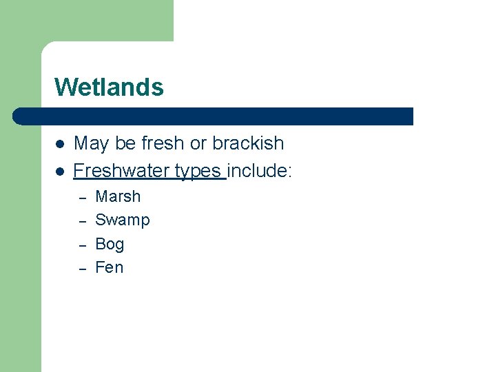 Wetlands l l May be fresh or brackish Freshwater types include: – – Marsh