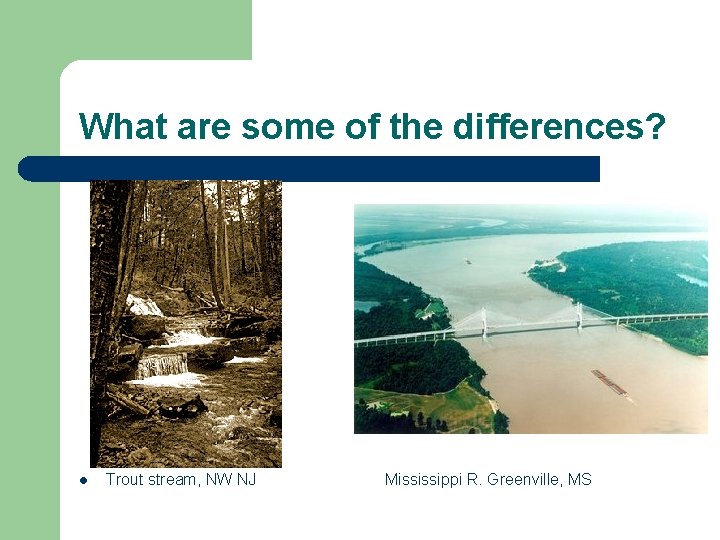 What are some of the differences? l Trout stream, NW NJ Mississippi R. Greenville,