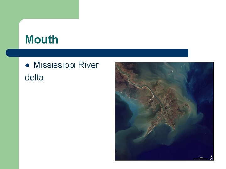 Mouth Mississippi River delta l 