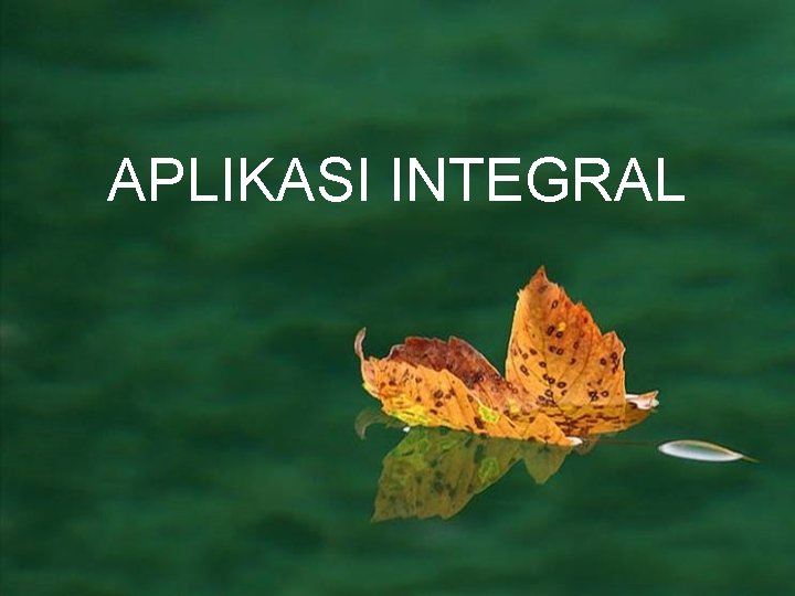 APLIKASI INTEGRAL 