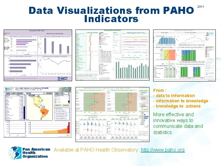 Data Visualizations from PAHO Indicators 2011 From : - data to Information - information