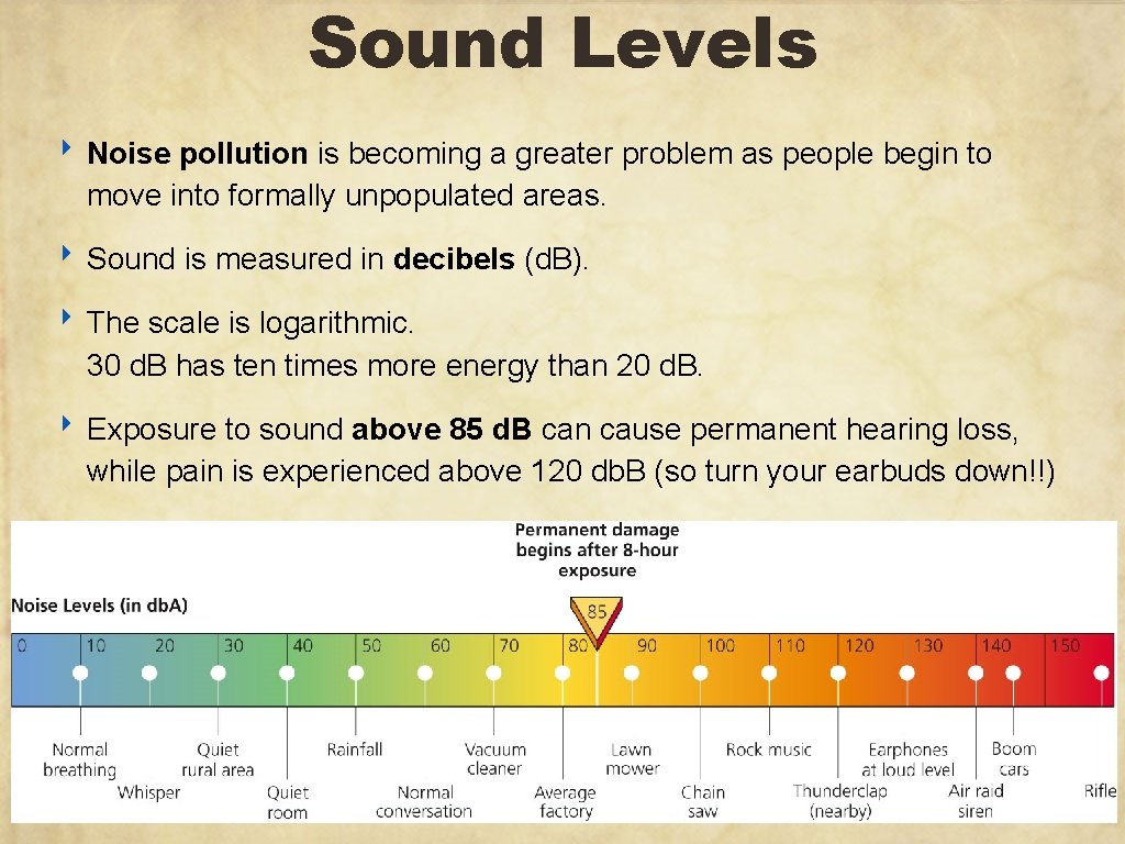 Sound Levels ‣ Noise pollution is becoming a greater problem as people begin to