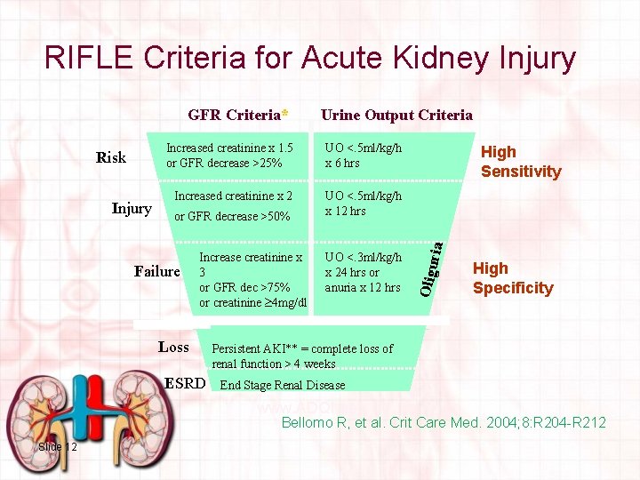RIFLE Criteria for Acute Kidney Injury Increased creatinine x 1. 5 or GFR decrease