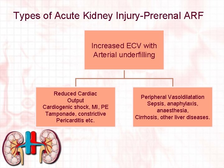 Types of Acute Kidney Injury-Prerenal ARF Increased ECV with Arterial underfilling Reduced Cardiac Output